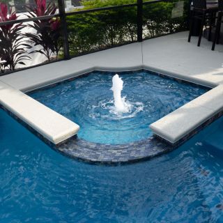 Spas 610