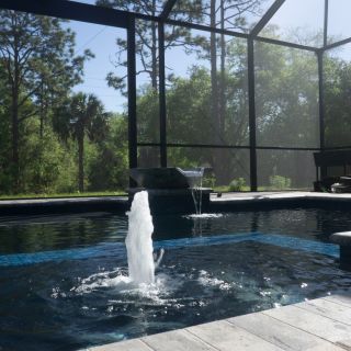 Spas 658